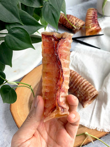 SINGLE BEEF TRACHEA (WITH FREE SHIPPING)