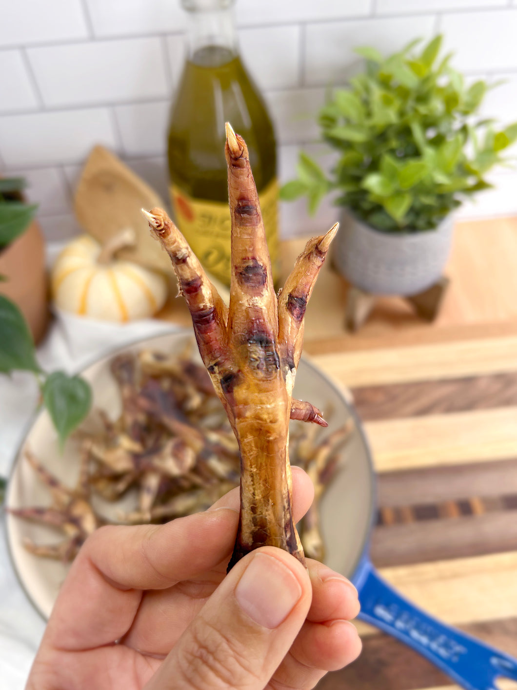 SINGLE CHICKEN FOOT (WITH FREE SHIPPING)