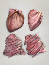 Load image into Gallery viewer, BUNDLE PACK (7PCS) OINKY PIG EARS