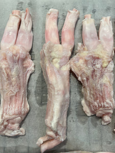 SINGLE BEEF FLEXOR TENDON (WITH FREE SHIPPING)