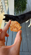 Load image into Gallery viewer, DROOLING MONSTERS CHICKEN NUGGETS