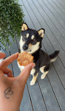 Load image into Gallery viewer, DROOLING MONSTERS CHICKEN NUGGETS