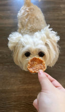 Load image into Gallery viewer, DROOLING MONSTERS CHICKEN NUGGETS