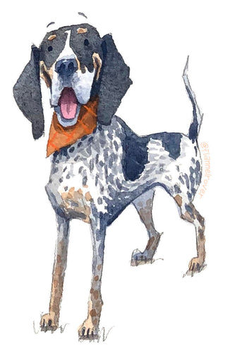 BLUE TICK HOUND WITH BANDANA