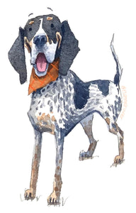 BLUE TICK HOUND WITH BANDANA