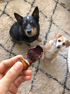 DUCK GIZZARD CHIPS FOR DOG