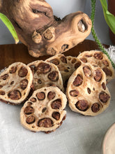 Load image into Gallery viewer, FLANK STEAK MEETS LOTUS ROOT