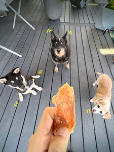 JUST CHICKEN BREAST FOR DOGS