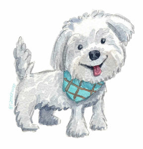 MALTESE WITH BANDANA