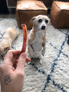 OINKY PIG EAR STRIPS (WITH FREE SHIPPING)