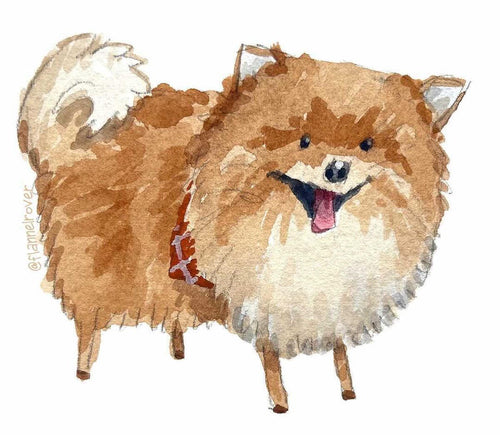 POMERANIAN WITH BANDANA