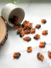 Load image into Gallery viewer, SALMON CUBES (NO MINT)