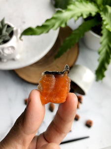 SALMON CUBES (NO MINT)