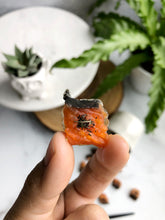 Load image into Gallery viewer, SALMON CUBES (NO MINT)
