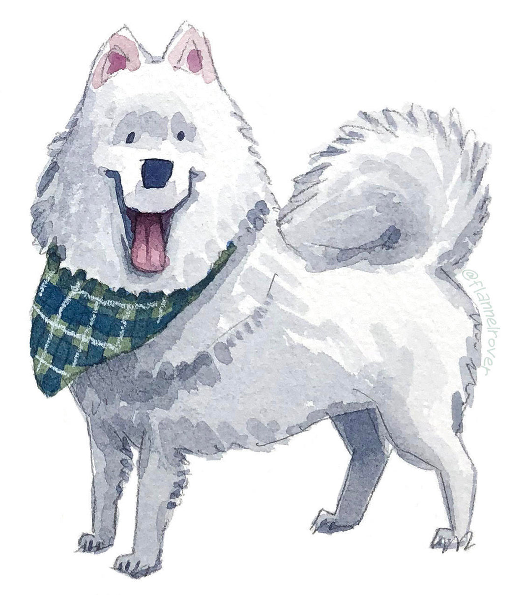 SAMOYED WITH BANDANA