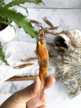 Load image into Gallery viewer, SMELT MEETS SWEET POTATO FOR DOGS