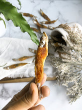 Load image into Gallery viewer, SMELT MEETS SWEET POTATO FOR DOGS