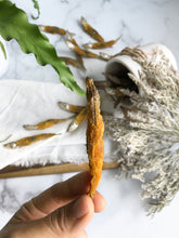 Load image into Gallery viewer, SMELT MEETS SWEET POTATO FOR DOGS