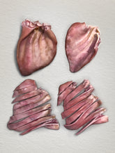 Load image into Gallery viewer, SINGLE OINKY PIG EAR (WITH FREE SHIPPING)